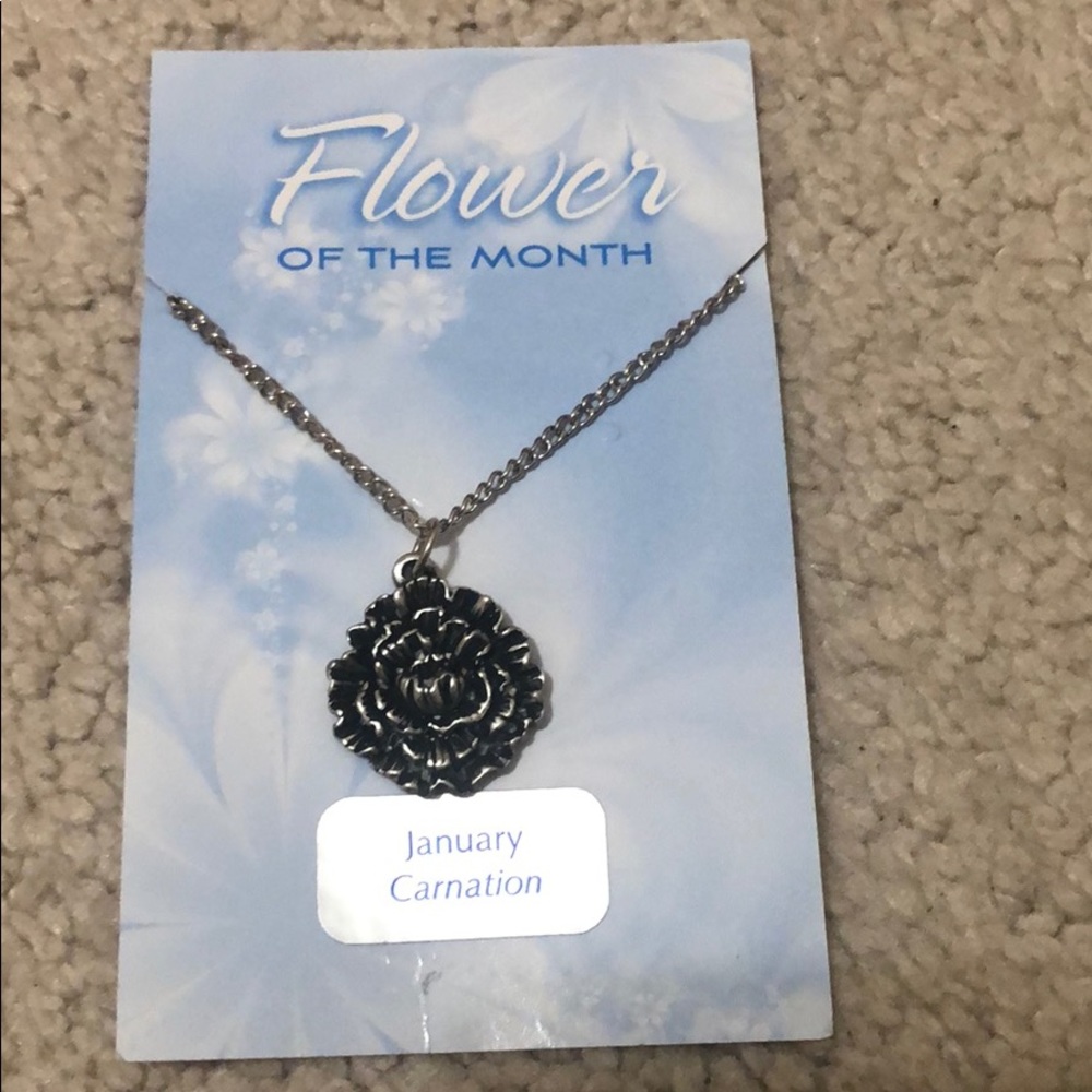 Salisbury Pewter January carnation necklace